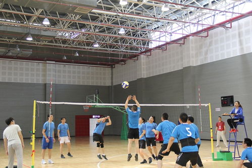 连云港市委市级机关工委组织市级机关气排球比赛